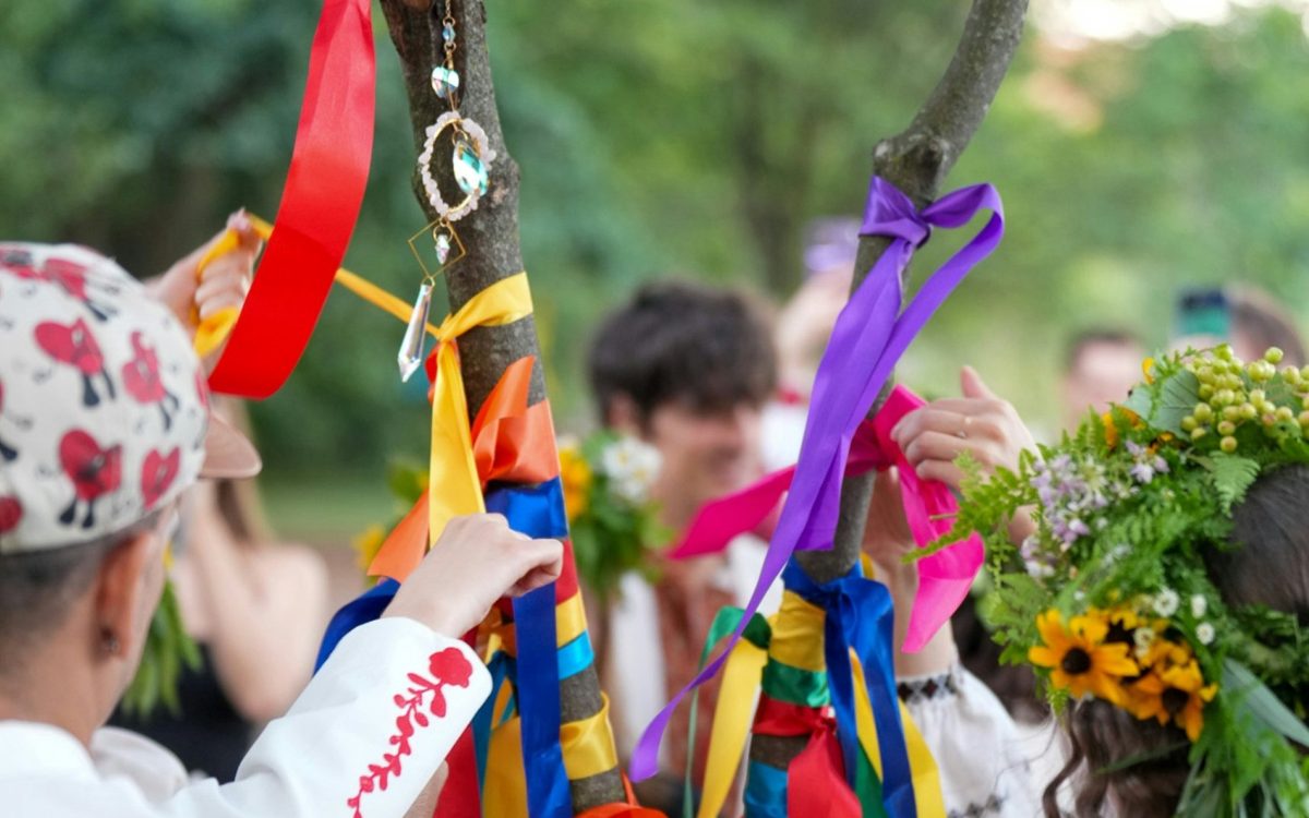 Cintas de colores atadas a un árbol en una celebración